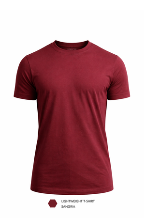 Carbon Lightweight T-Shirt - Pack of 2
