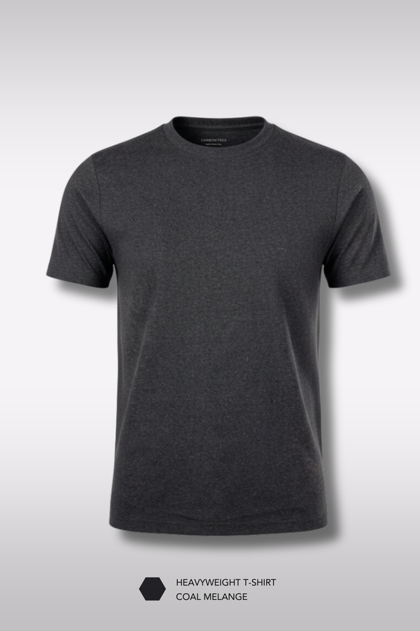 Pack of 2 Heavyweight (Melange) T-shirt at 1799