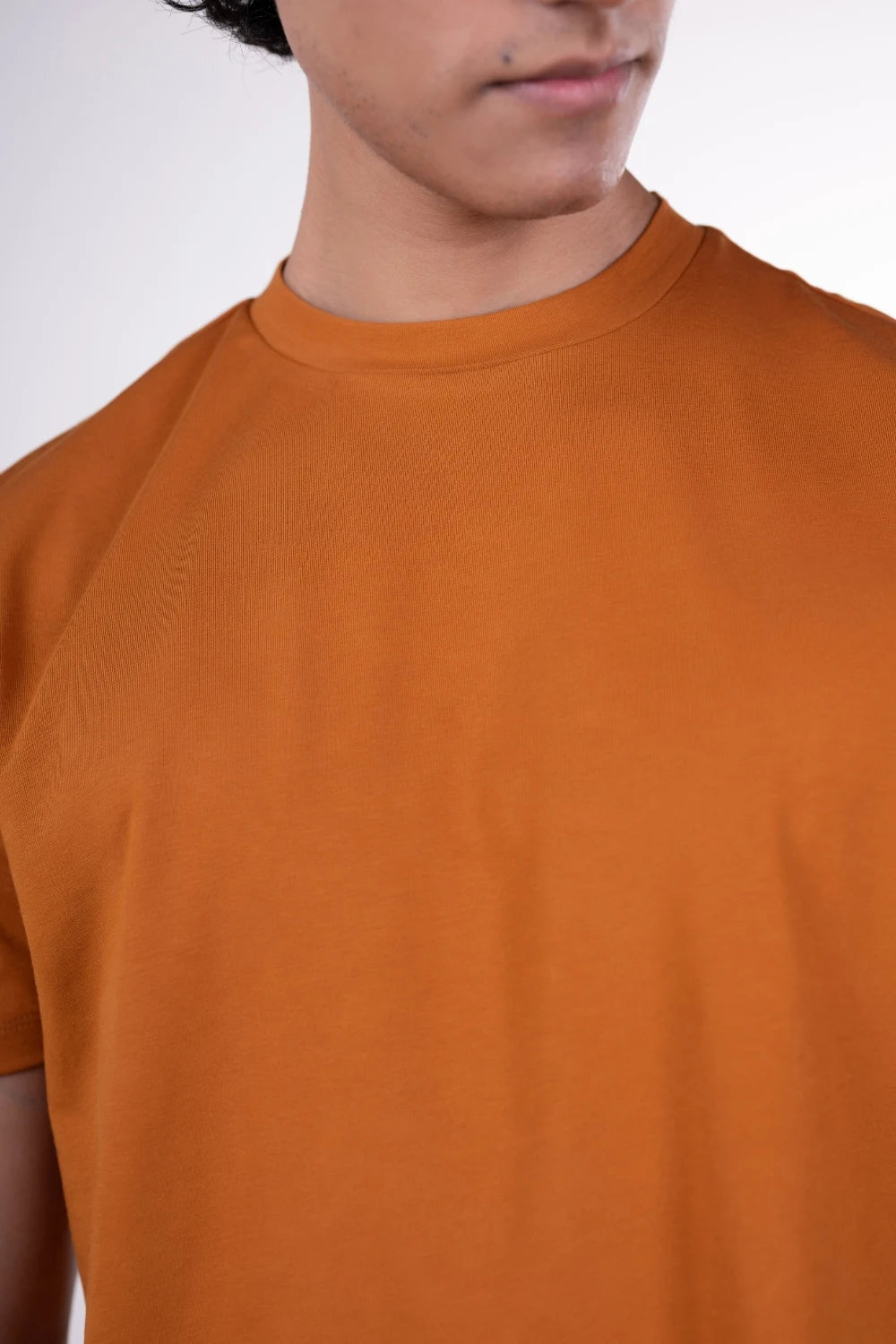 Carbon Heavyweight T-Shirt – Sorona™ (Raw Cinnamon)