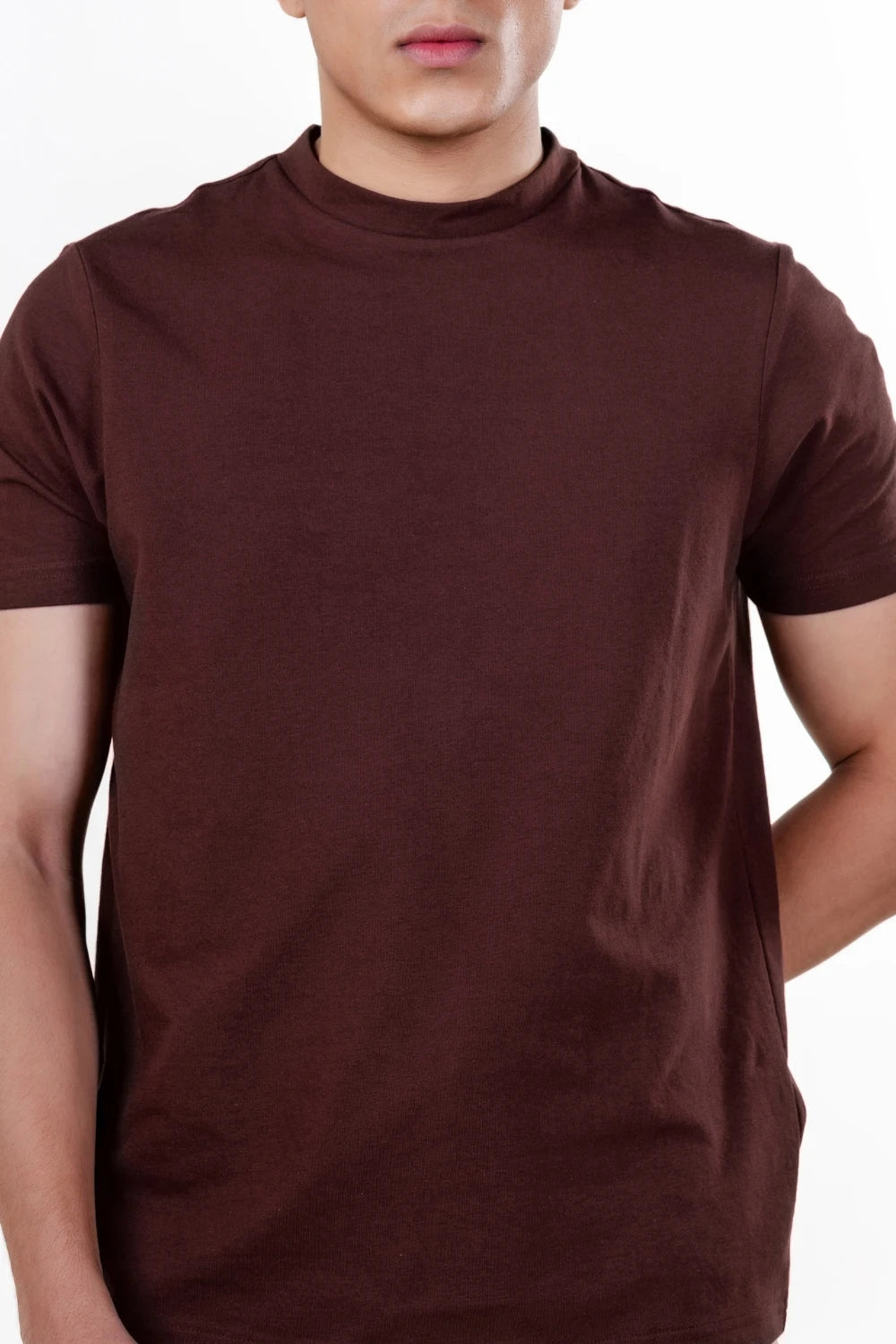 Carbon Heavyweight T-Shirt – Sorona™ (Chicory Coffee)
