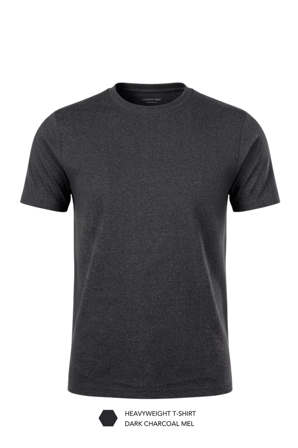 Carbon Heavyweight T-Shirt Pack of 2