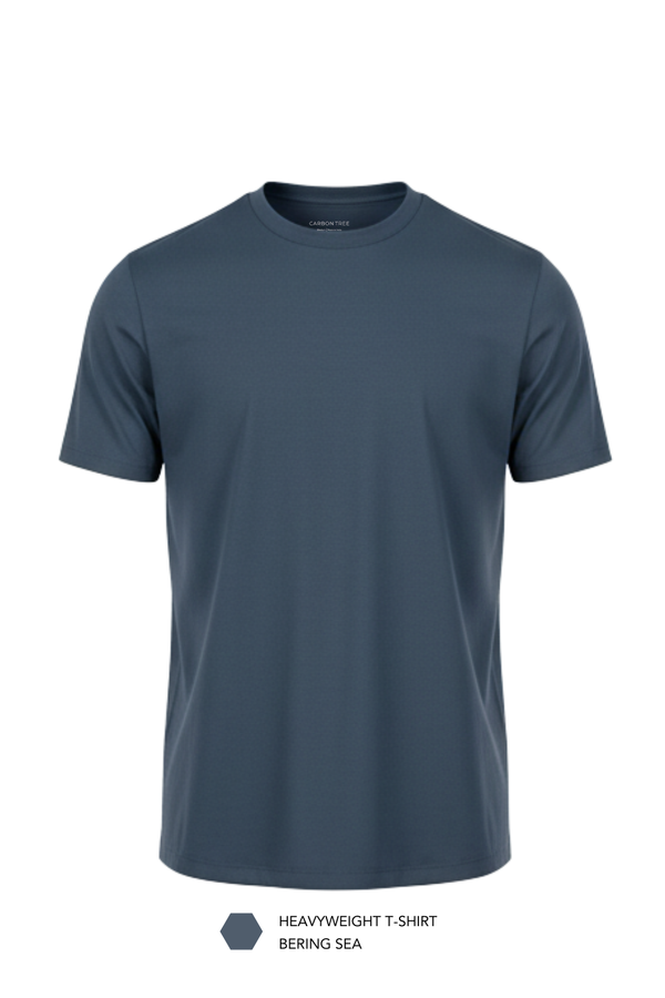Carbon Heavyweight T-Shirt Pack of 2