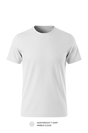 Carbon Heavyweight T-Shirt Pack of 5 (New Colours)