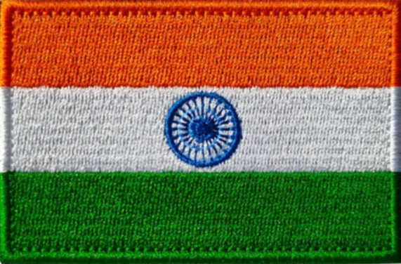 Indian Flag Logo